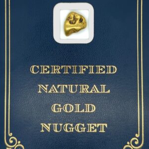 7.8 Gram Natural Gold Nugget from Hunter Creek, Alaska