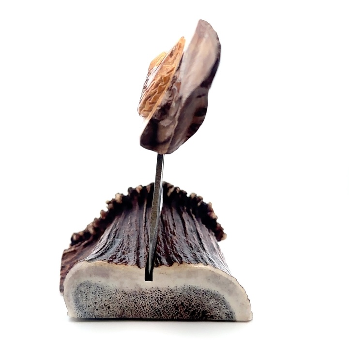 Artifact Ivory Carved Ulu - Image 2
