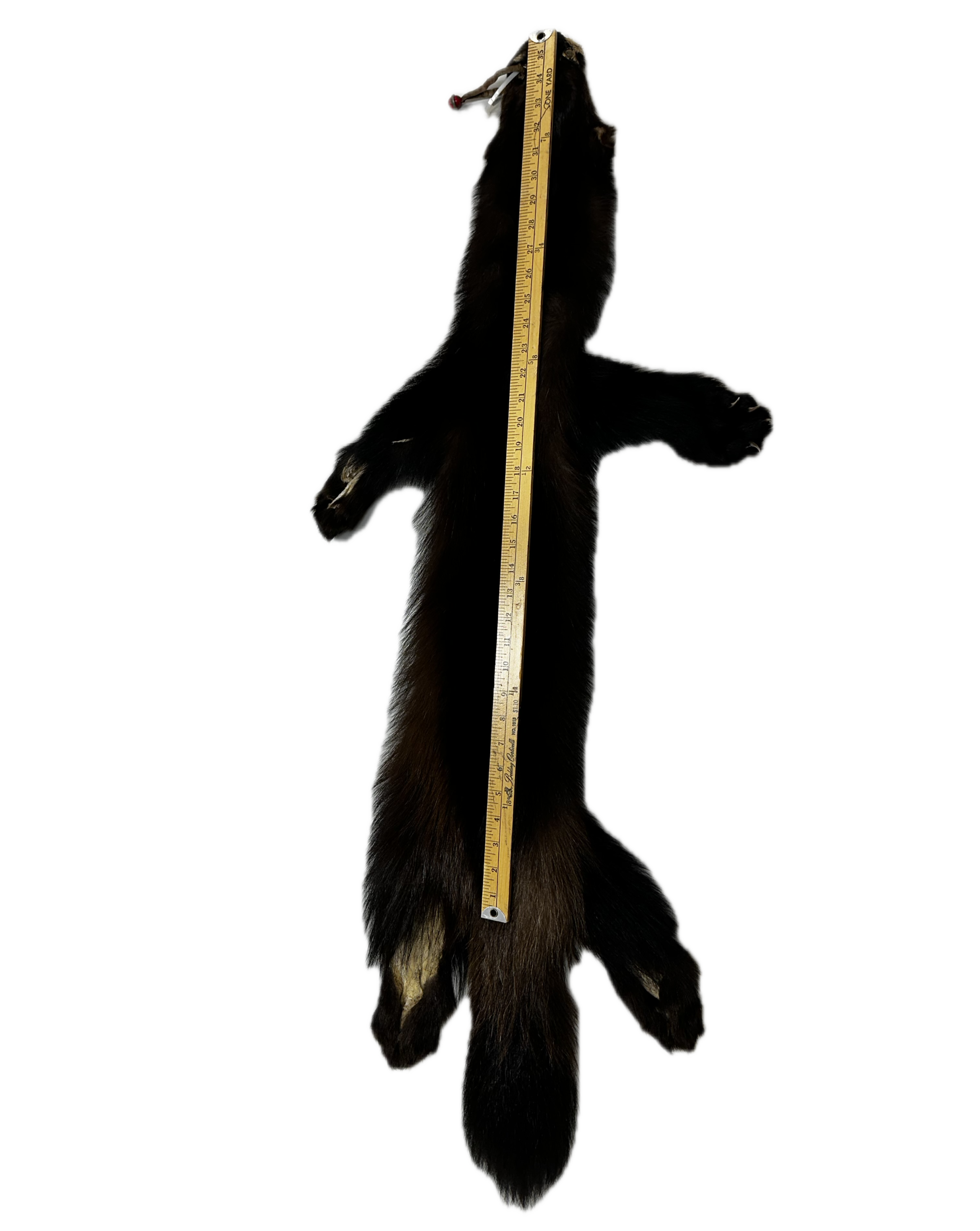 Wolverine Pelt - Image 2