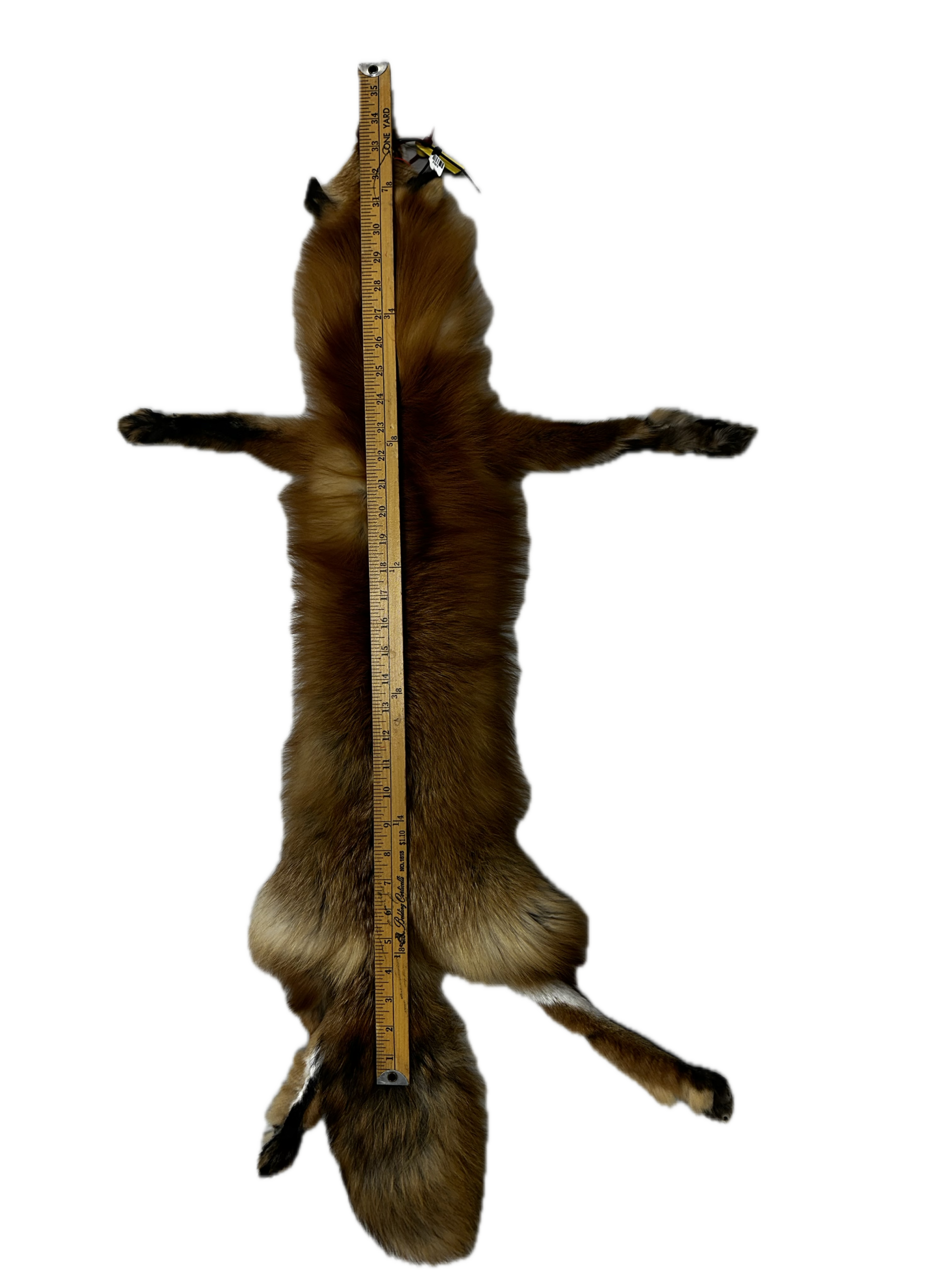 Red Fox Pelt - Image 3