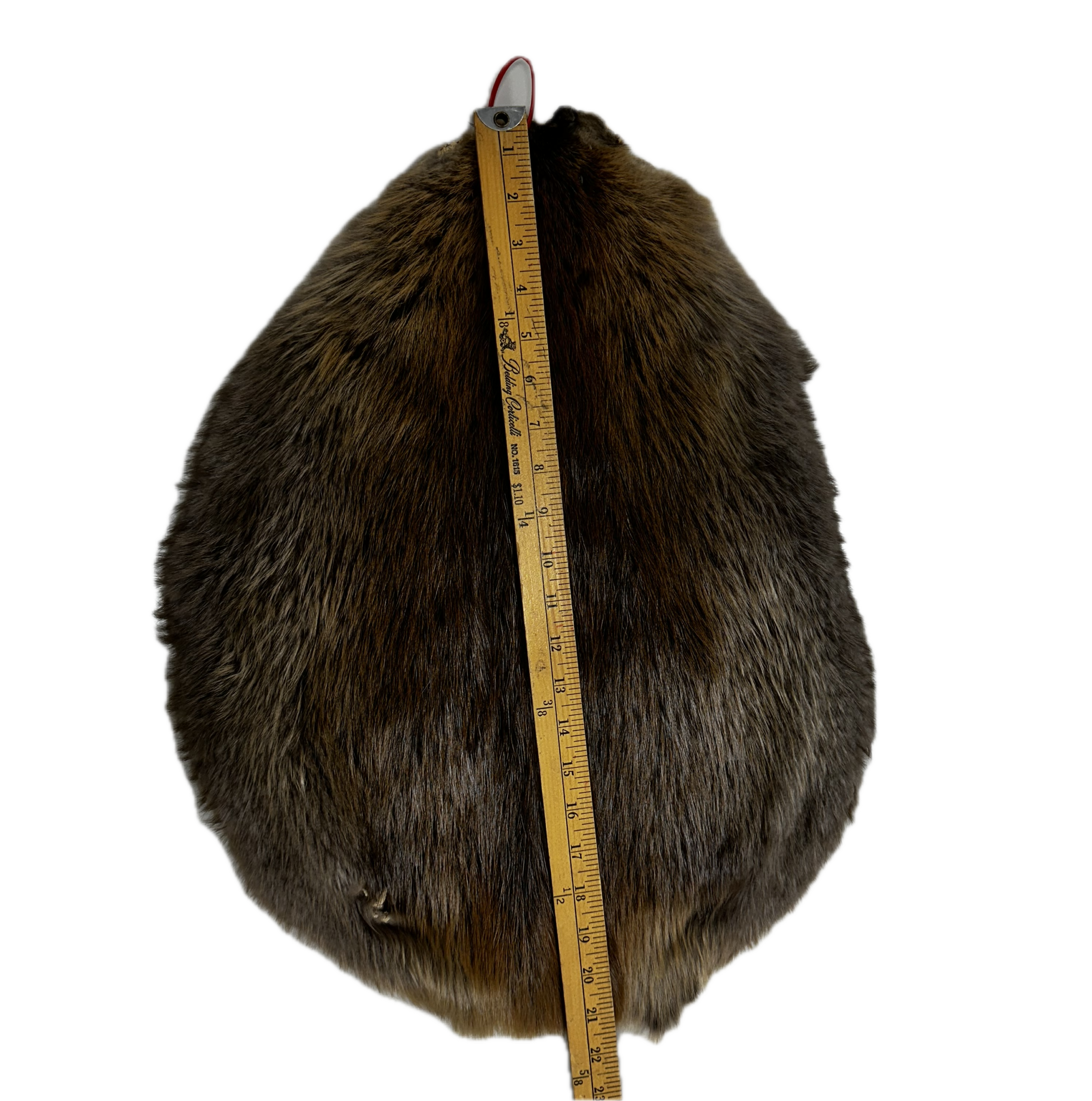 Small Beaver Pelt - Image 3