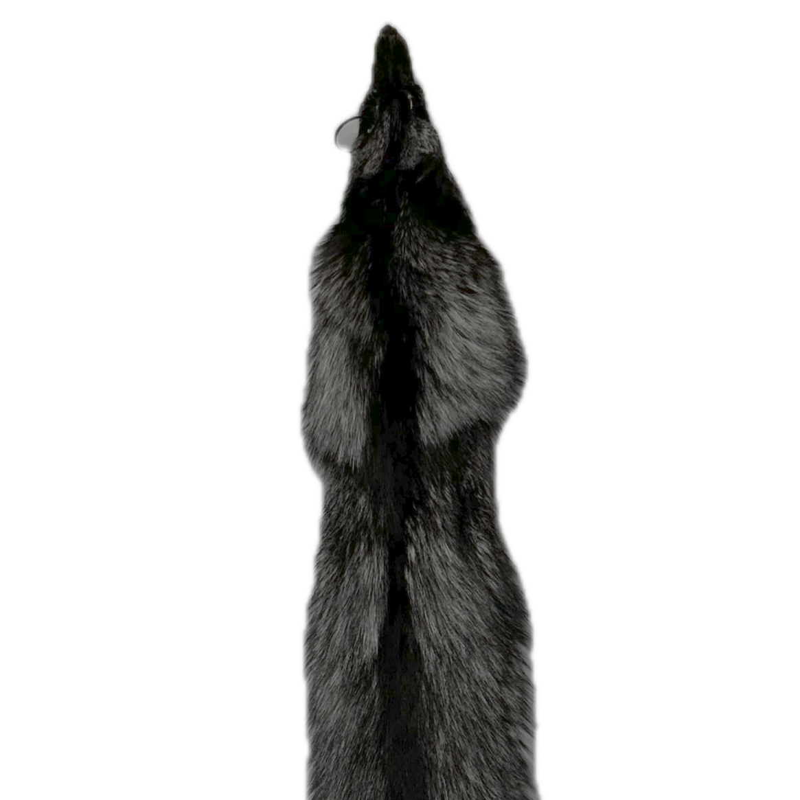 Silver Fox Pelt