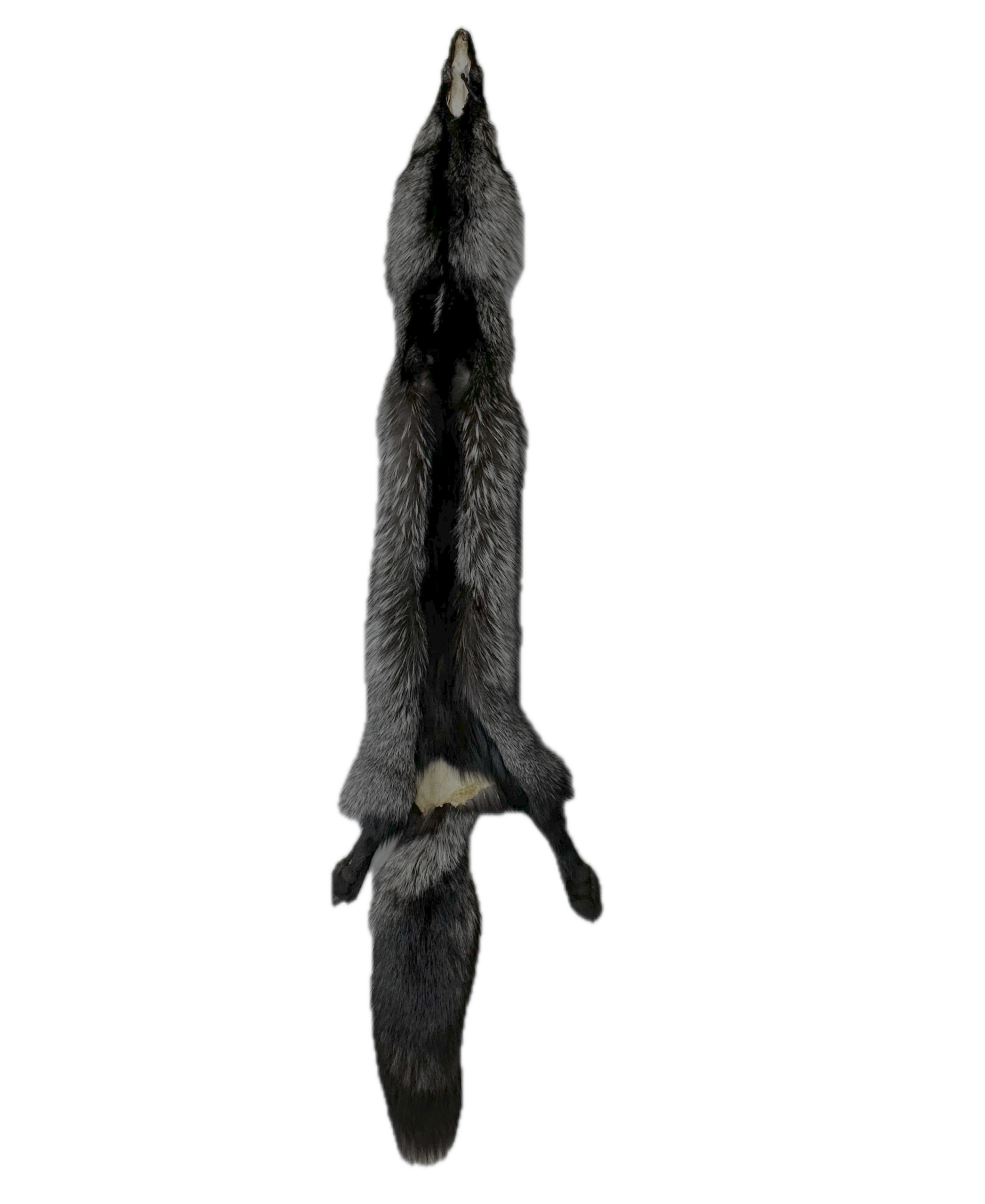 Silver Fox Pelt - Image 3